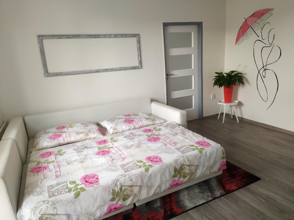 Byt Puskinova Apartment Hradec Králové Exterior foto
